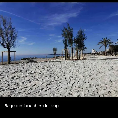 Loft Marina Direct Plage Apartment *